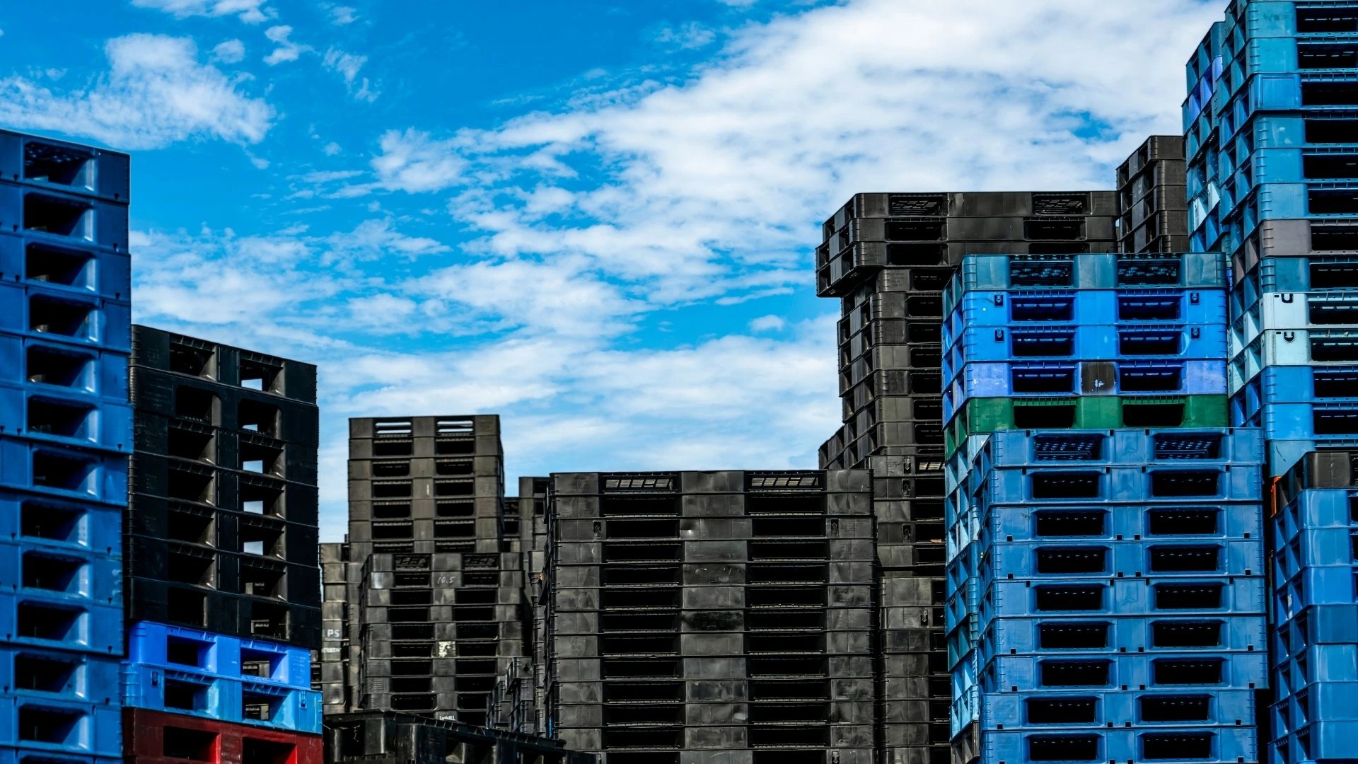 Warehouse and distribution